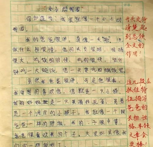 中考励志语录15字作文—中考激励语四字？