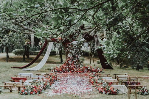婚礼 红色大树超有调