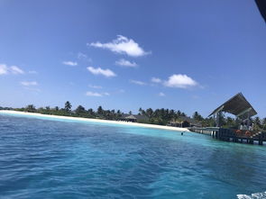 马尔代夫阿玛瑞岛享受五星级的海滩度假体验