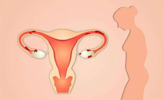 女人排卵期会有 特殊味道 在排卵期时,身体会有哪几种表现
