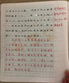 作文评语每次10000字 杭州一小学老师坚持26年,她都写了点啥