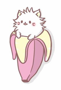 foto do banana cat