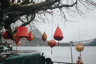 愁雨诗意，千古情长，愁雨的诗词语句有哪些