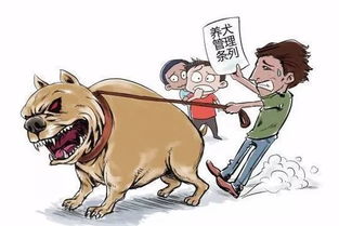 养犬不能 任性 广州警方即日起重点整治不文明养犬 已有白云人被罚