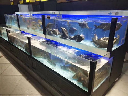 超市海鲜池定制 海鲜鱼缸厂家 江西吉安宜昌抚州上饶地区专业海鲜池鱼缸厂家