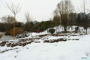 走在冬雪后古都风景里 冬雪后的西安城市运动公园 