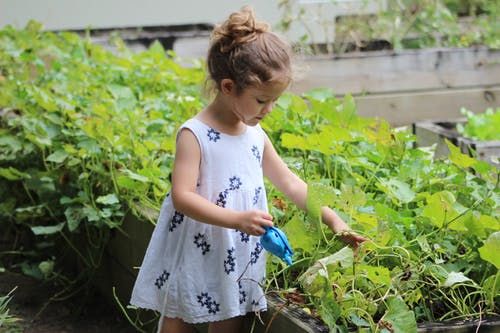 2022年虎女宝宝的名字 精选出自宋词的女孩绝世好名