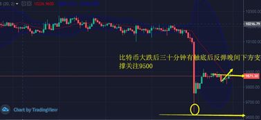 莱特币今日行情,比特币最新价格