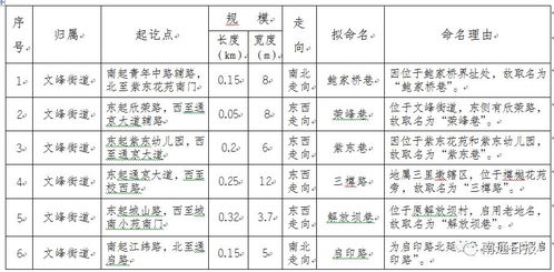 这20条道路准备这样命名 你意下如何