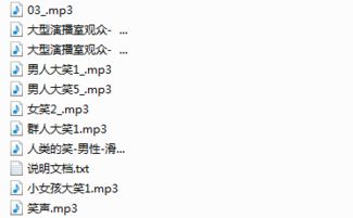 各种笑声音效大全 群众笑声音效大全 各种笑声打包合集 最新MP3版 