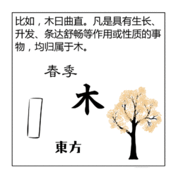 看漫画 学算命,一分钟变算命大师