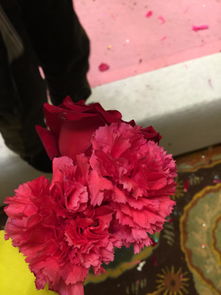 玫瑰旁边的粉色的花是什么花 