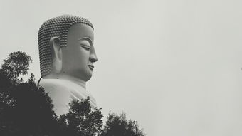 日日佳念，岁月静好——探究日日佳背后的深刻寓意与生活态度，日日佳是什么字