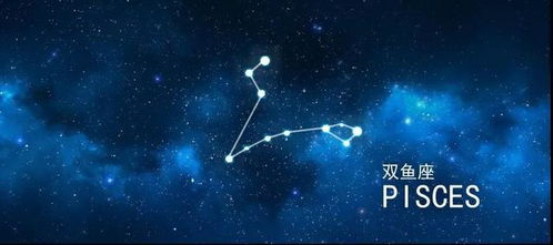 连晓明塔罗 一周星座运势 06.15 06.21