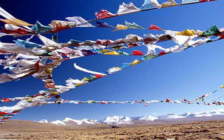 报团去西藏旅游多少钱