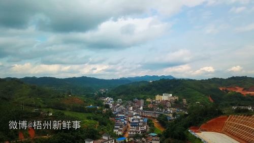 广西梧州苍梧六堡镇天气预报