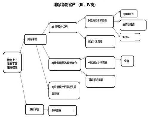 致产房 八字方针 之 分娩镇痛不全与中转剖宫产麻醉失败