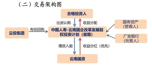 内险股表现疲软，人保寿险7月期交新单持续增长但增速下降