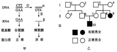 孟德尔定律的内容，“孟德尔定律”是什么