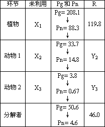 下表是某生态系统层次上的能量流动情况.其中Pg表示生物同化作用固定能量的总量.Pn表示生物体贮存的能量.R表示生物呼吸消耗的能量. 单位 大卡 m2 年 请分析回答 