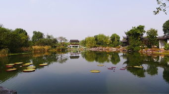 杭州景点：探索人间天堂的无限魅力