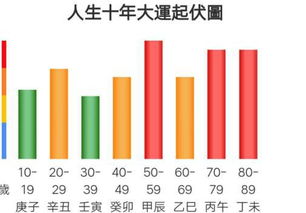 大师您好,请问男八字丙子己亥己酉戊辰财富层次 