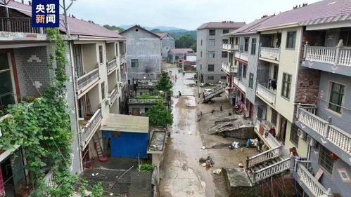 福建龙岩新罗铁山街道