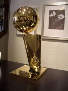 NBA总***奖杯保留制度 每年总***nba奖杯是否收回