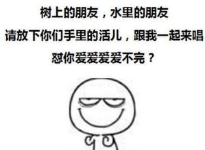 怼怎么读是什么意思