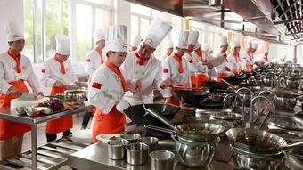 阜南哪有厨师学校,阜南厨师学校：烹饪梦想，成就未来