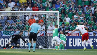欧洲杯预选赛北爱尔兰1:0德国,求欧洲杯所有球队资料