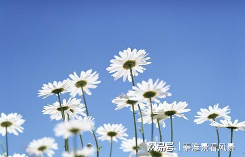 生肖龙,名字中带有这些 字 ,注定天生好命,享福无穷,接福吧