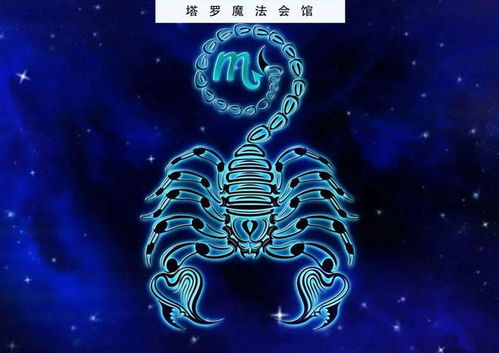 1月星座运势 摩羯思考未来 水瓶职场有功 I 塔罗魔法会馆