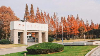 南京理工大学专业(南京理工大学学科介绍)