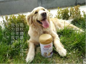 多大的狗狗可以喝羊奶粉 不好好选择有可能害了它