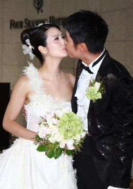 张丹峰洪欣结婚,洪欣结婚的海报
