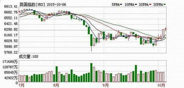 股市 休市期间可以买入或卖出股票进行交易呢？