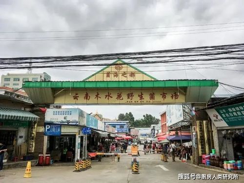 中国菜市场的 内卷之王 ,为什么在云南