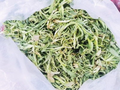 面条菜是什么野菜 地理分布在什么地方