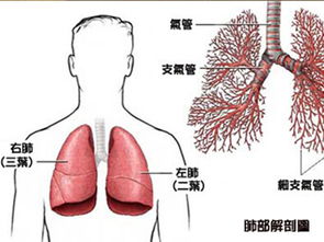 癌症晚期的症状