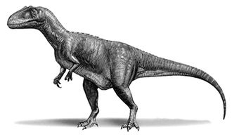 爱恐龙的小朋友 周日一起来复制恐龙化石吧 