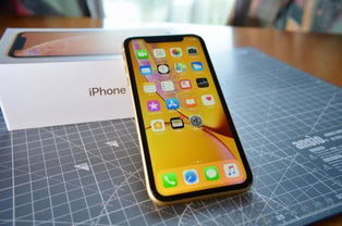 定了 这款iPhone口碑最好,升级iOS 12.4后信号也稳了