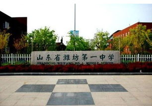 潍坊艺术学校是高中吗，山东省潍坊艺术学校的学校专业