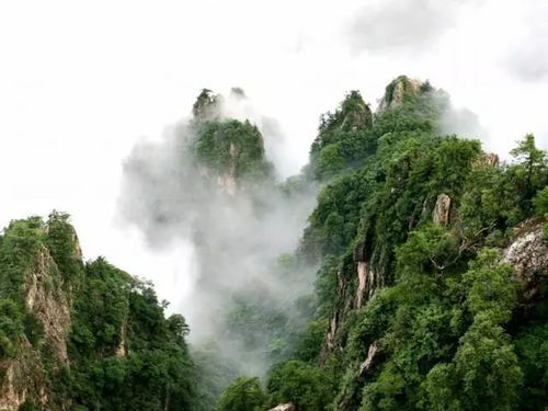 河南这4个森林公园不一般,最高温度不到28 ,两个还是中国最美 