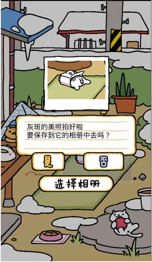 猫咪后院ios怎么下载,猫咪后院iOS下载全攻略，让你轻松成为猫咪饲养员！