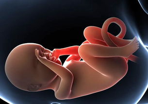 原创孕期影响胎儿健康的“三害”，准妈妈不要有，保护好胎宝宝