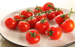 圣女果孕妇的最佳食品 迷你番茄营养价值很高 