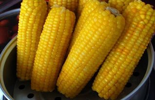 金黄的玉米像什么东西,玉米加工什么东西最赚钱,煮玉米放什么东西能甜