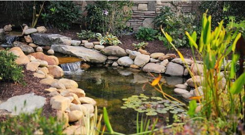 为什么完美的庭院都要做鱼池 不光是赏心悦目,还能带来好财运