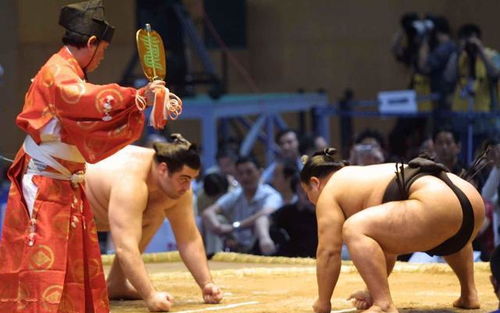 相扑职业在日本很吃香吗 为何女性普遍倾向嫁给相扑手 原因现实